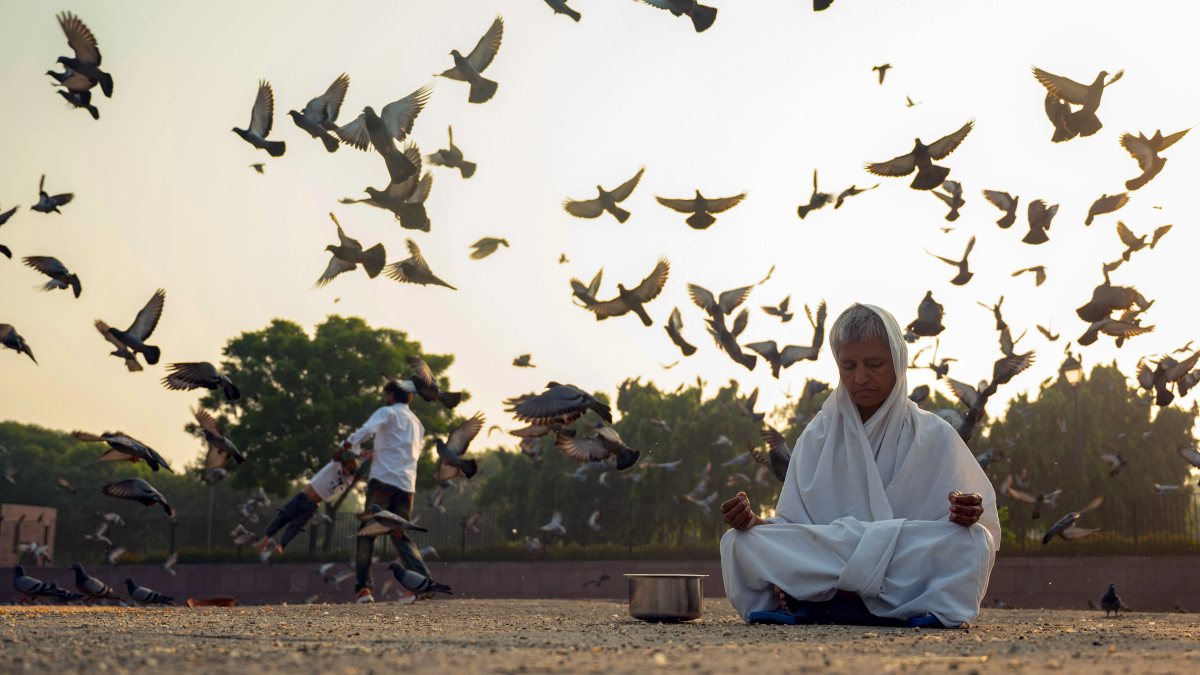 Woman practises yoga on pleasant morning in New Delhi