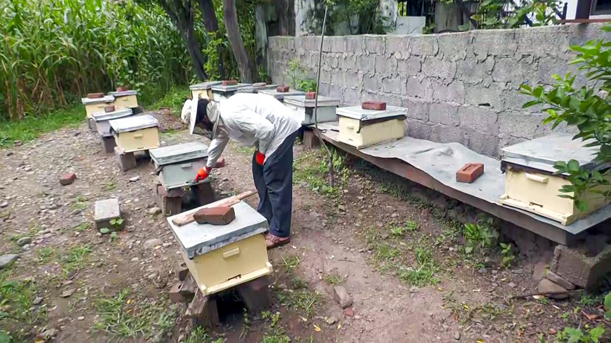 Farmer produces organic honey in Poonch village