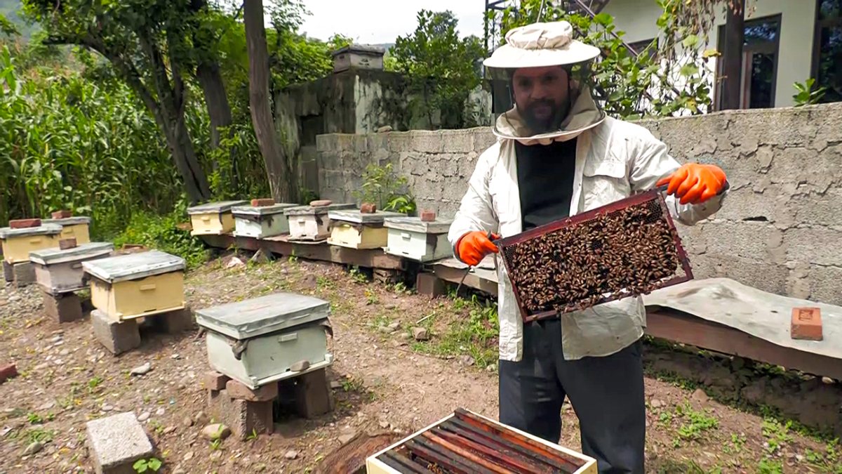 Poonch farmer produces organic honey with agriculture dept help