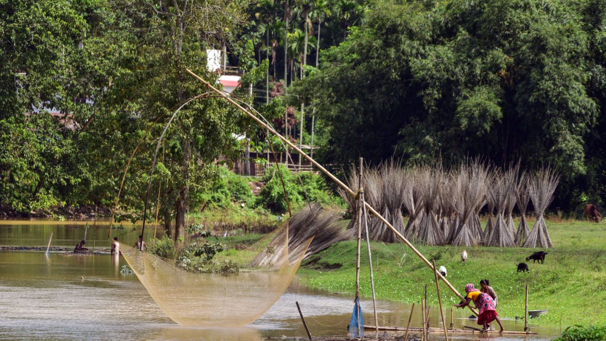 Fisherwoman casts net in Kalong River at Nagaon