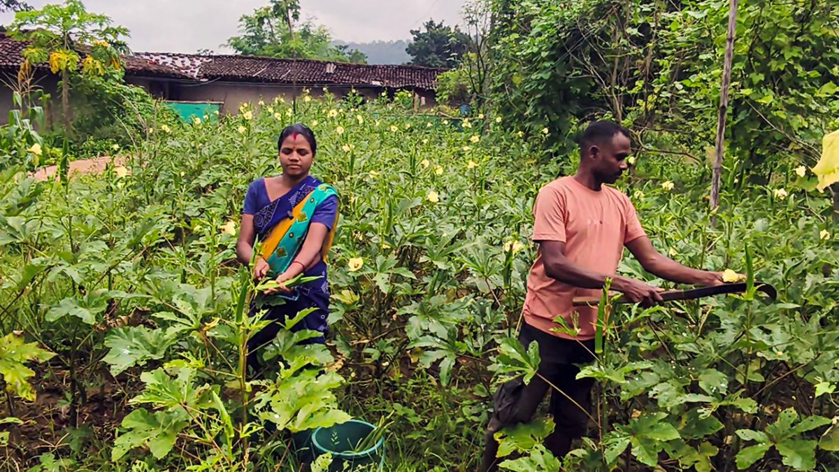 Former Naxal commander Sitaram Sonwani takes up farming in Balrampur