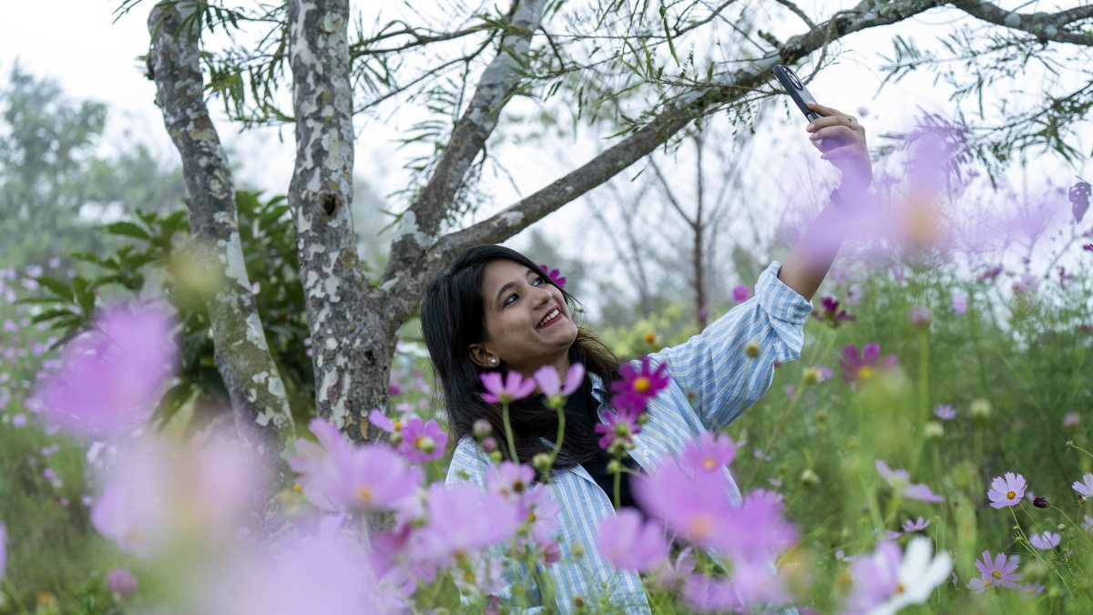 Visitor takes selfie amid cosmos flowers in Aizawl park