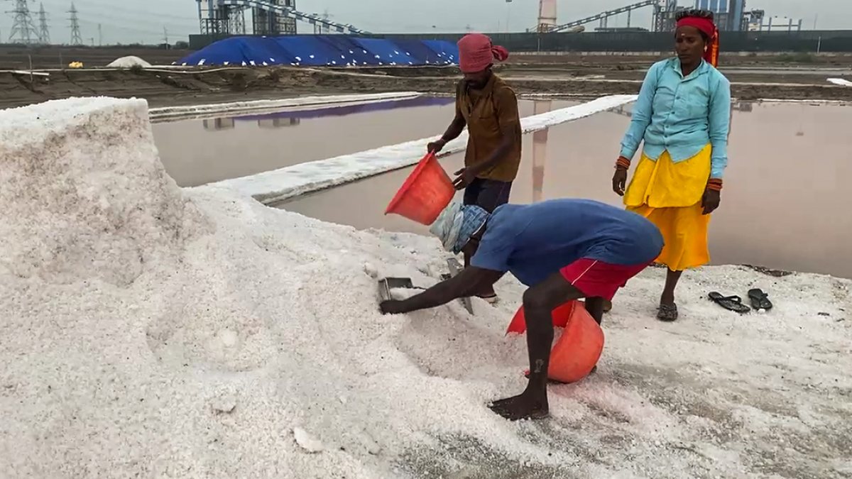 Salt workers collect rock salt from beds in Thoothukudi