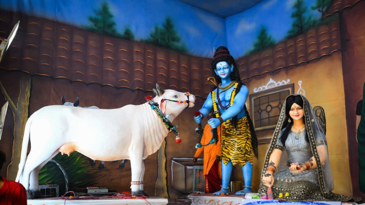 Durga Puja pandal deities viewed in Raipur