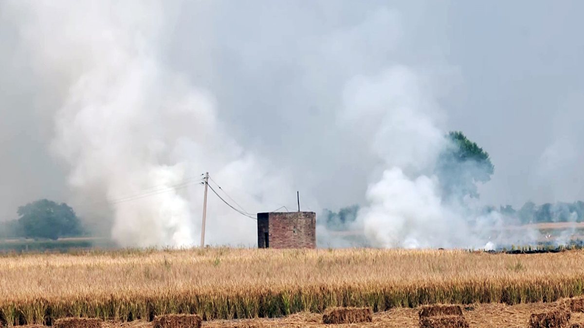 Stubble burning seen near Chabhal Kalan in Tarn Taran