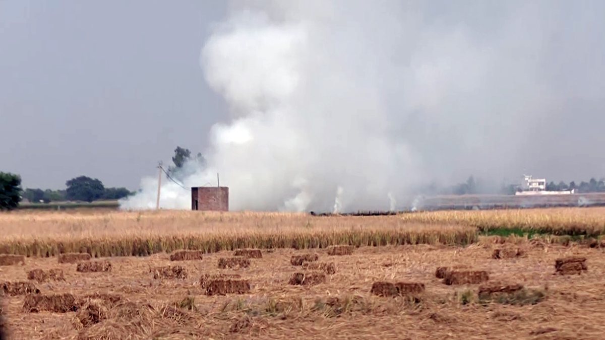 Stubble burning continues near Chabhal Kalan in Tarn Taran