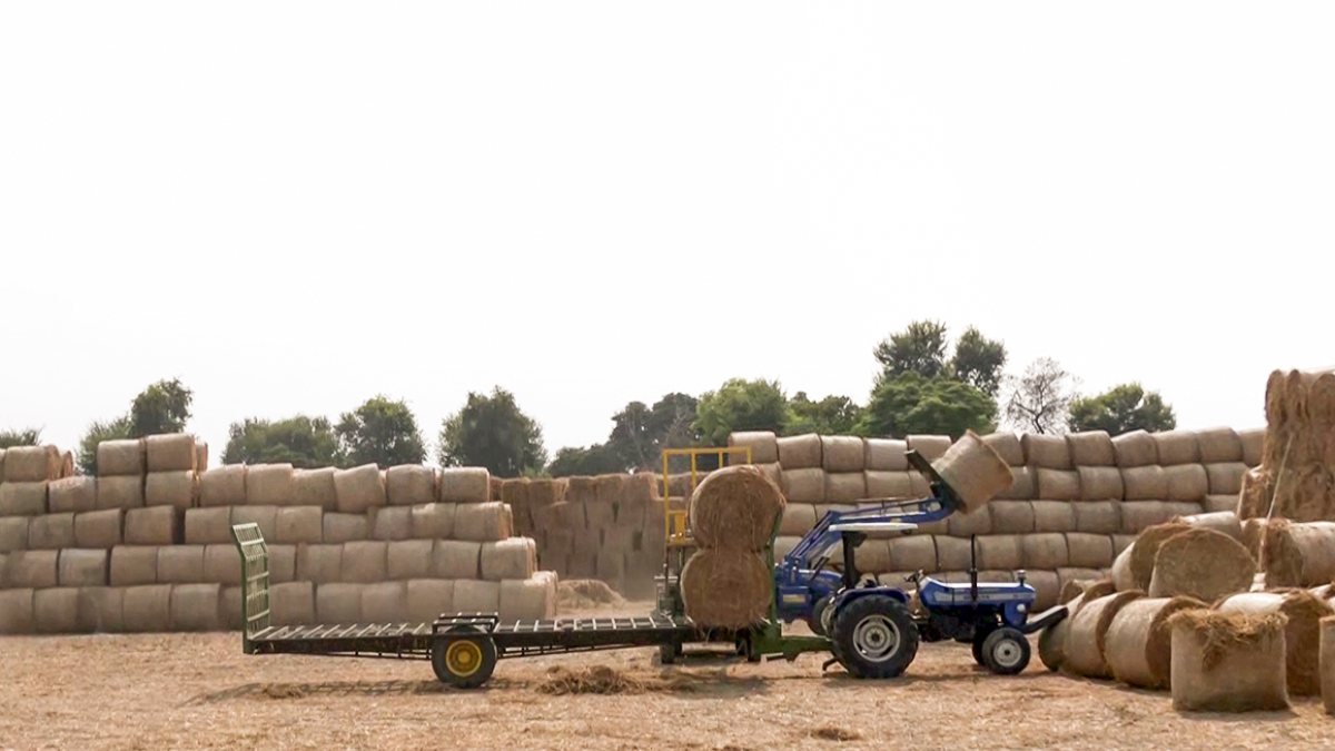 Punjab farmer arranges stubble bales for sale to thermal plants