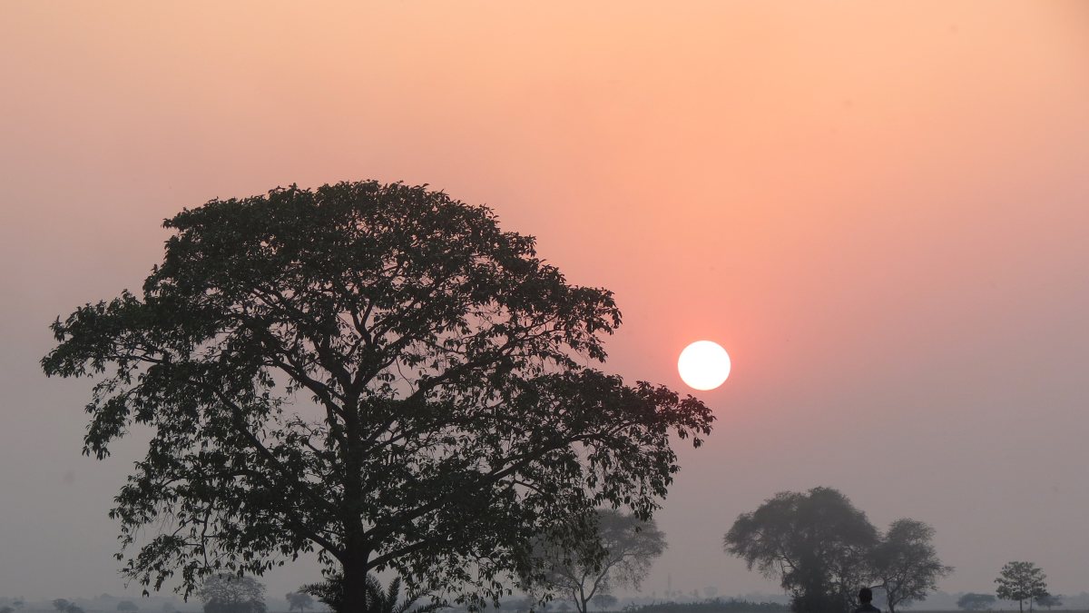 Sunset seen in Senpara area of Nadia