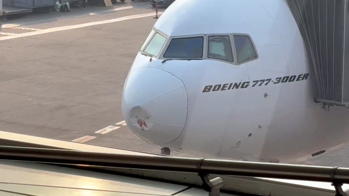 Emirates flight EK 517 damaged nose cone after bird strike at Delhi airport