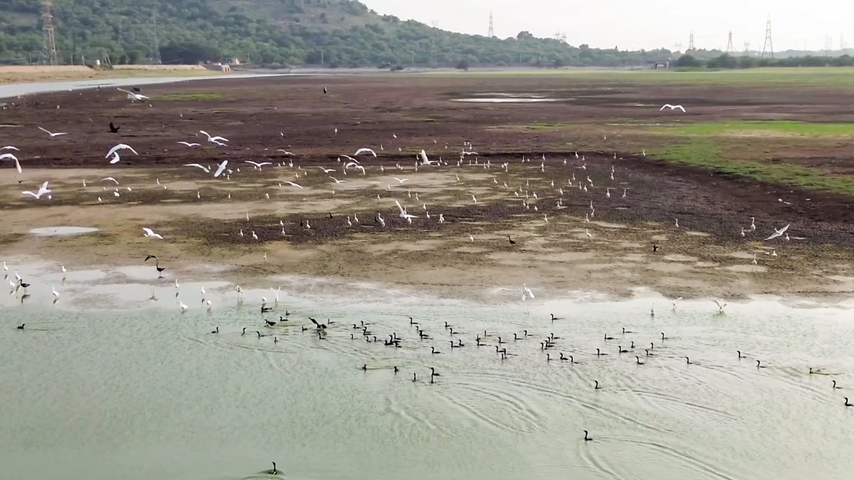 Madurai lake dries up as rainfall stays scarce