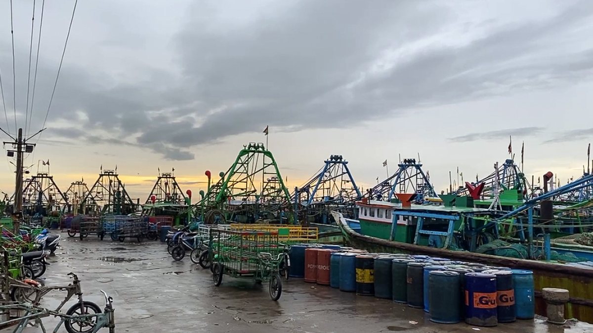 Thoothukudi fishing boats anchored as heavy rain keeps crews ashore
