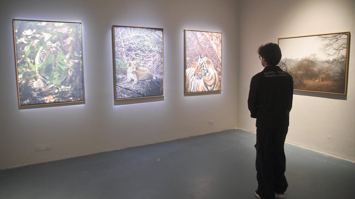 Visitor views Raihan Vadra photo exhibition at Bikaner House