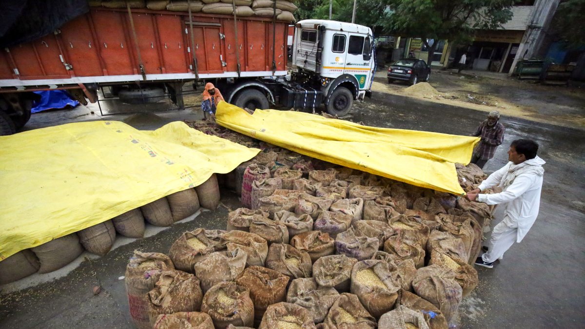 Workers cover paddy sacks as storm hits Amritsar grain market