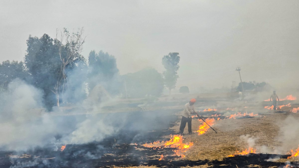 Farmer burns paddy stubble near Patiala road