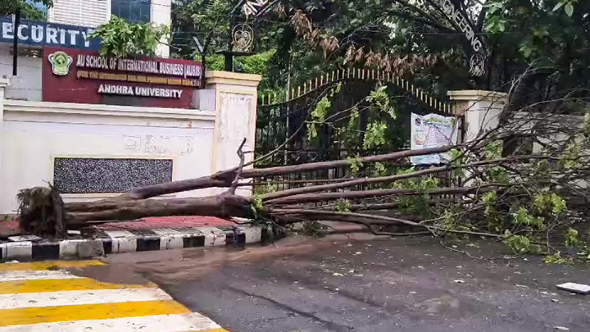 Uprooted tree blocks Andhra University school gate after Cyclone Arnab