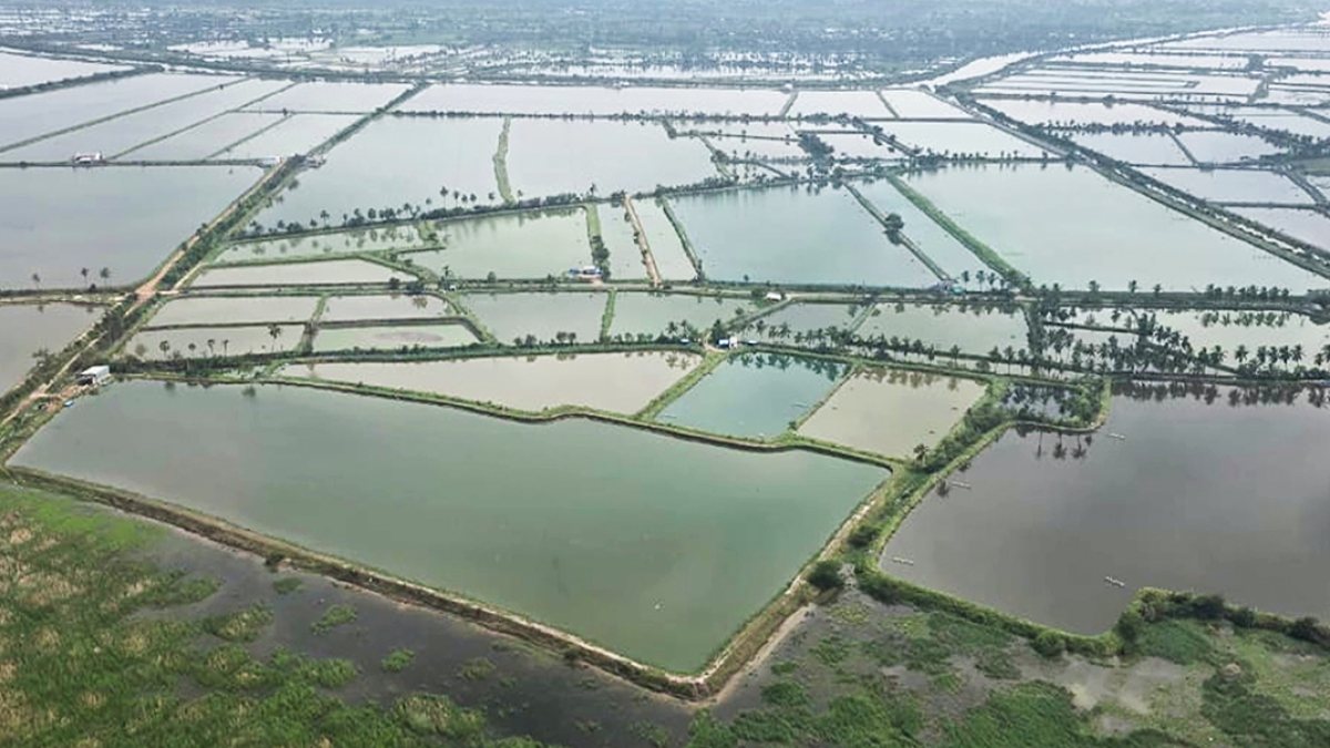 Aerial view of cyclone Arnab damage in Amaravati