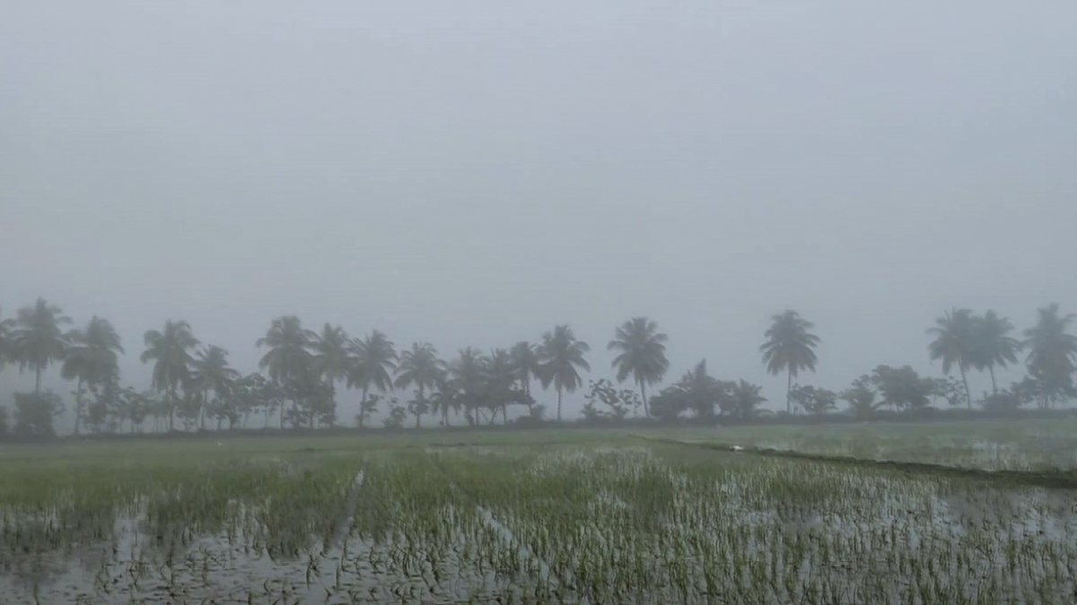 Dense fog reduces visibility across Mayiladuthurai district