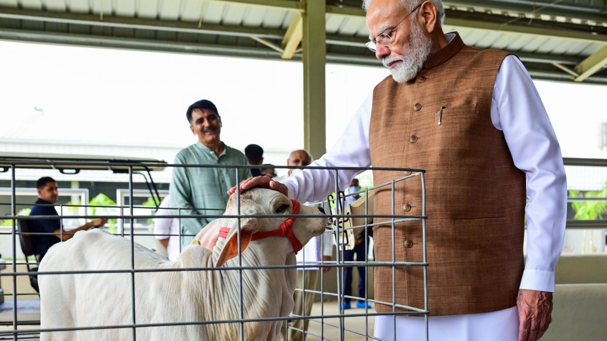 PM Modi pets bull calf at Banaskantha cattle farm